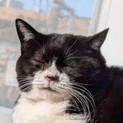 ヒメ日記 2026/02/23 18:39 投稿 門別(モンベツ) 鶯谷デッドボール