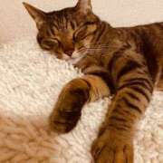 ヒメ日記 2026/01/18 21:32 投稿 ときわあみ CLARA（クララ）