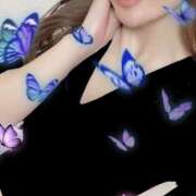 ヒメ日記 2026/01/24 08:58 投稿 ときわあみ CLARA（クララ）