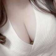 ヒメ日記 2026/01/29 12:47 投稿 ときわあみ CLARA（クララ）