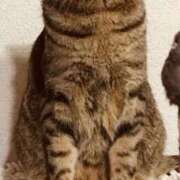 ヒメ日記 2026/02/19 07:42 投稿 ときわあみ CLARA（クララ）