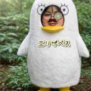 ヒメ日記 2026/02/22 08:53 投稿 ときわあみ CLARA（クララ）