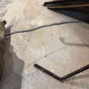 ヒメ日記 2025/11/04 06:43 投稿 まき 松戸角海老岩瀬店