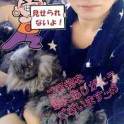 ヒメ日記 2025/12/18 01:55 投稿 とあ 大和人妻城