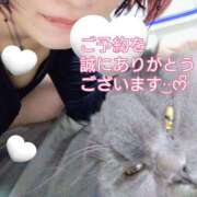 ヒメ日記 2025/12/22 19:42 投稿 とあ 大和人妻城