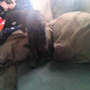 ヒメ日記 2026/01/27 12:06 投稿 とあ 大和人妻城