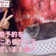 ヒメ日記 2026/03/25 23:08 投稿 とあ 大和人妻城