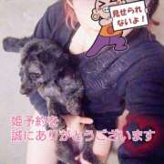 ヒメ日記 2026/04/01 20:40 投稿 とあ 大和人妻城