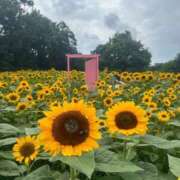 ヒメ日記 2025/08/18 07:38 投稿 みるくさん いけない奥さん 十三店