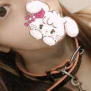 ヒメ日記 2025/08/19 02:28 投稿 むぎ 西船人妻花壇