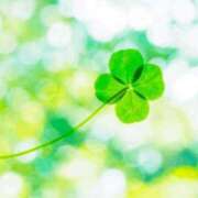 ヒメ日記 2025/08/30 04:55 投稿 むぎ 西船人妻花壇