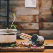 ヒメ日記 2025/09/09 04:31 投稿 むぎ 西船人妻花壇