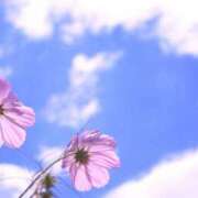 ヒメ日記 2025/09/09 14:42 投稿 むぎ 西船人妻花壇