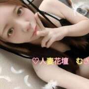 ヒメ日記 2025/09/12 15:16 投稿 むぎ 西船人妻花壇