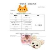 ヒメ日記 2025/09/16 23:00 投稿 むぎ 西船人妻花壇