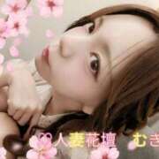 ヒメ日記 2025/09/30 00:05 投稿 むぎ 西船人妻花壇