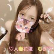 ヒメ日記 2025/10/03 02:27 投稿 むぎ 西船人妻花壇