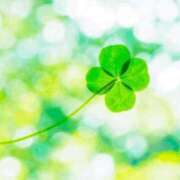 ヒメ日記 2025/10/07 15:52 投稿 むぎ 西船人妻花壇