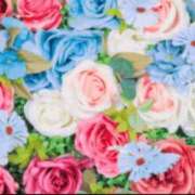 ヒメ日記 2025/12/15 22:48 投稿 むぎ 西船人妻花壇