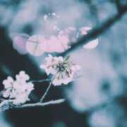 ヒメ日記 2025/12/22 18:23 投稿 むぎ 西船人妻花壇