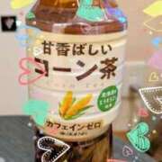 ヒメ日記 2025/12/26 21:51 投稿 むぎ 西船人妻花壇