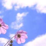 ヒメ日記 2025/12/29 08:28 投稿 むぎ 西船人妻花壇