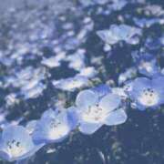 ヒメ日記 2025/12/31 09:48 投稿 むぎ 西船人妻花壇