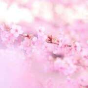 ヒメ日記 2026/01/05 18:56 投稿 むぎ 西船人妻花壇