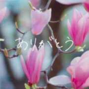むぎ 本指名🍀07月17日のA様🍀 西船人妻花壇