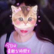 ヒメ日記 2025/09/04 22:38 投稿 神山みこと 恋する妻たち