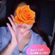 ヒメ日記 2025/09/12 08:18 投稿 神山みこと 恋する妻たち