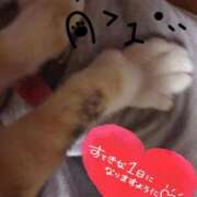 ヒメ日記 2025/09/17 08:08 投稿 神山みこと 恋する妻たち