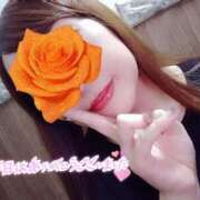 ヒメ日記 2025/09/17 12:28 投稿 神山みこと 恋する妻たち