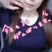 ヒメ日記 2025/09/19 08:18 投稿 神山みこと 恋する妻たち