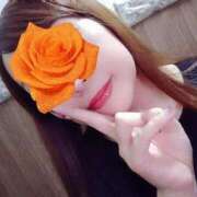 ヒメ日記 2025/10/18 09:58 投稿 神山みこと 恋する妻たち