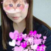 ヒメ日記 2025/11/15 19:58 投稿 神山みこと 恋する妻たち