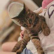 ヒメ日記 2025/08/18 14:15 投稿 あむ 群馬高崎前橋ちゃんこ