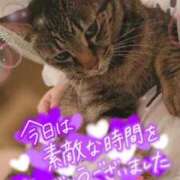 あむ お礼💌 群馬高崎前橋ちゃんこ