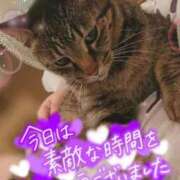 ヒメ日記 2026/08/24 23:45 投稿 あむ 群馬高崎前橋ちゃんこ