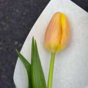 おりひめ お礼💌 イクイクサークル鶯谷店