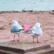 ヒメ日記 2025/09/13 16:20 投稿 めい 舐めフェチの会