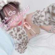 ヒメ日記 2026/07/14 11:58 投稿 はるひ 京都BOOK MARK（ブックマーク）