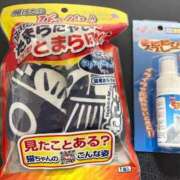 ヒメ日記 2025/11/24 12:51 投稿 てん X-PARTY