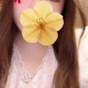 ヒメ日記 2025/09/06 15:04 投稿 めい（福岡） ごほうびSPA神戸店