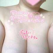 ヒメ日記 2025/10/09 21:15 投稿 ひかり ぷるるん小町 京橋店