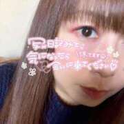 ヒメ日記 2026/02/13 14:55 投稿 ひかり ぷるるん小町 京橋店