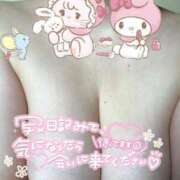 ひかり 到着しております！ ぷるるん小町 京橋店