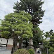 ヒメ日記 2025/09/15 16:14 投稿 ことひめ 東京人妻セレブリティ（ユメオト）