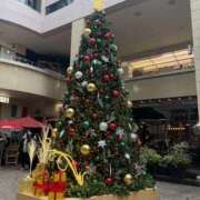 ことひめ 11.29 東京人妻セレブリティ（ユメオト）