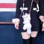 ひめか 今日出勤してます🏩 五反田くぃーんず